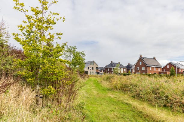 istock Nature island in Zuidhorn 1690921114