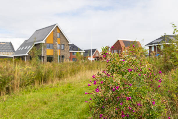 istock Nature island in Zuidhorn 1690921116