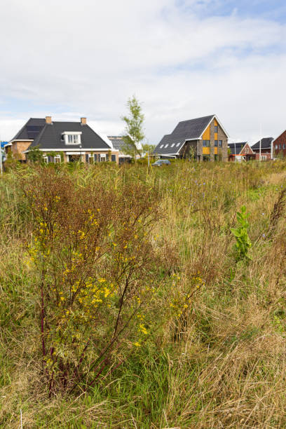 istock Nature island in Zuidhorn 1690921119