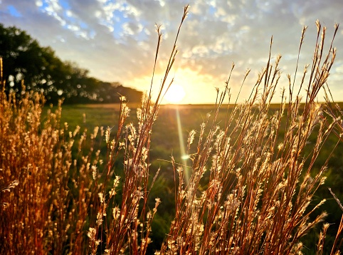 Autumn sunset shining on an open rural field.