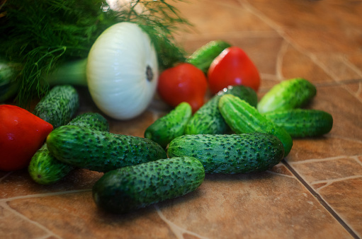 cucumbers, tomatoes, onions and dill. harvest of fresh vegetables