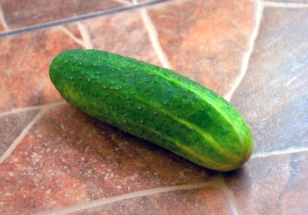 cucumber, ripe, fresh cucumber, vegetables