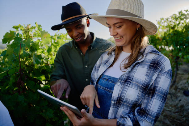 istock Young multiracial couple in casual clothing smiling while using digital tablet by plants on farm 1690925507