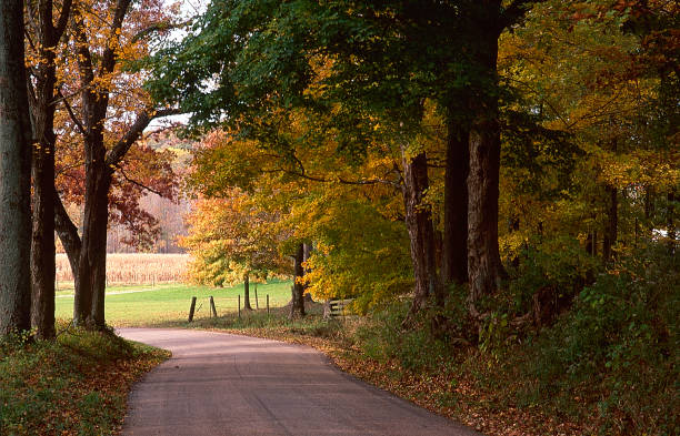The road, one lane, usually gravel, travel throughout Indiana's rural countryside.