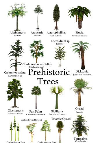 A collection of trees and cycads that lived during prehistoric periods of Earth's history.
