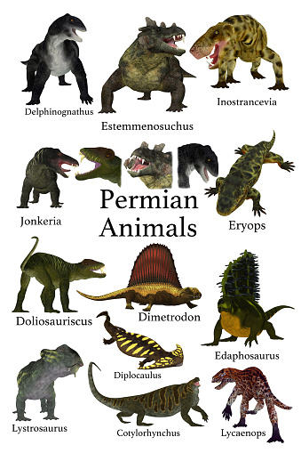 A collection of animals, cats, arthropods, amphibians, reptiles and synapsids that lived during the Permian Period.