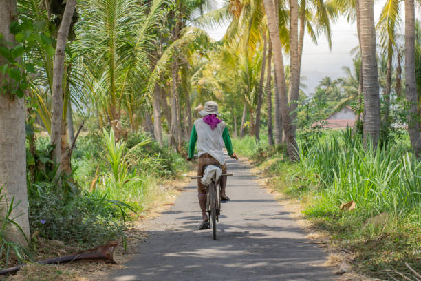 istock Person from the rice fields passed this road using a pedal bicycle 1690931184