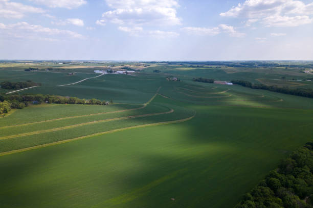 istock Aerial view of field 1690931242
