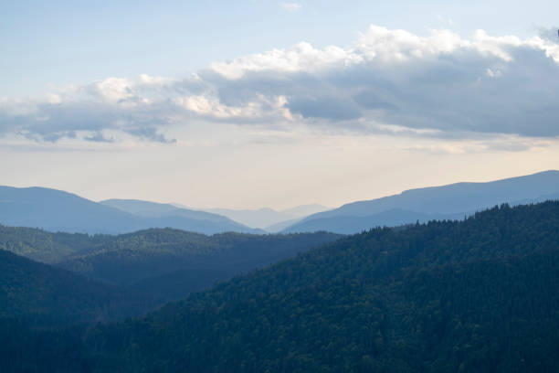 Mountain landscape with forest in the Carpathian mountains of Ukraine. stock photo