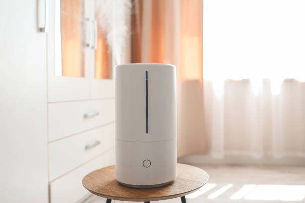 istock Modern air humidifier on table in living room. Space for text 1690933226