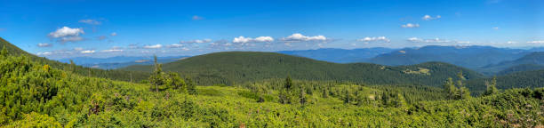 Mountain landscape with forest in the Carpathian mountains of Ukraine. stock photo