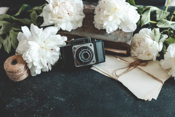 istock retro photo camera with book and fresh peony flowers 1690933291
