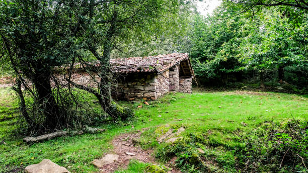 istock Typical Basque Country sheepfold in the mountains near Rhune 1690933951