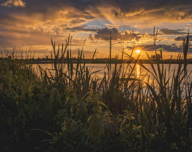 istock beautiful sunset over the lake 1690935274