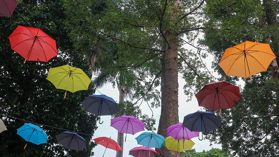 Colorful umbrellas hanging against a blue sky background