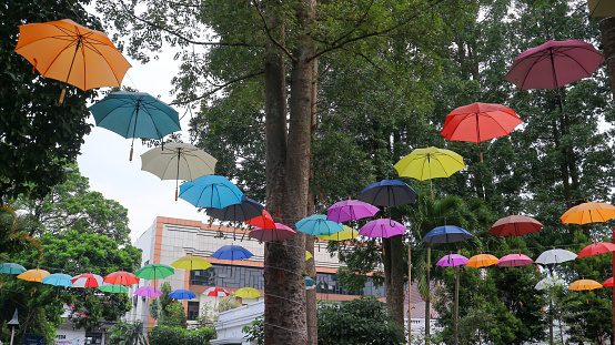 Colorful umbrellas hanging against a blue sky background
