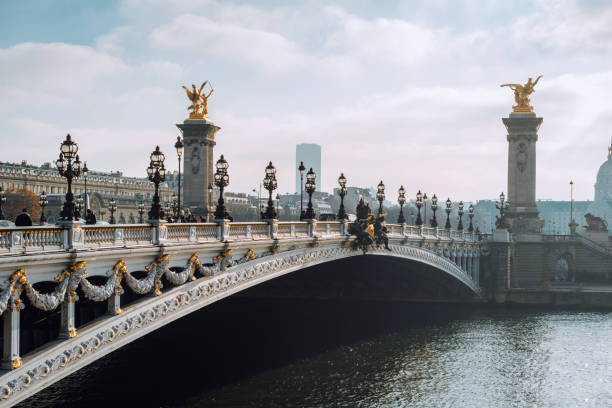 istock Alexandre III bridge in Paris, France 1690937824