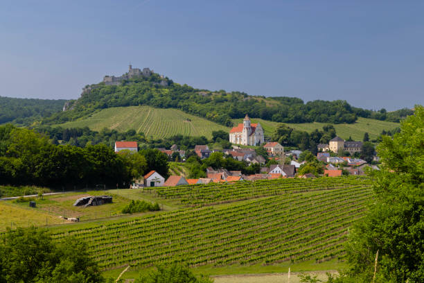 istock Falkenstein ruins and town with vineyard, Lower Austria, Austria 1690941583