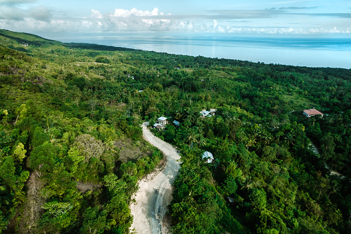 Top aerial view over green jungle landscape with resort\nSiquijor island, The Philippines