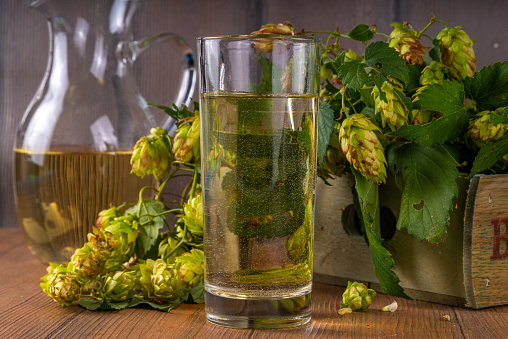Fresh non-alcoholic hop cones infused water