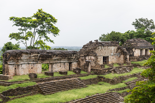 Palenque Maya Mexico