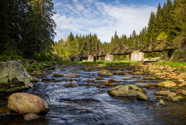 most bramny w rechle koło modravy, szumawski park narodowy, czechy - czech republic zdjęcia i obrazy z banku zdjęć