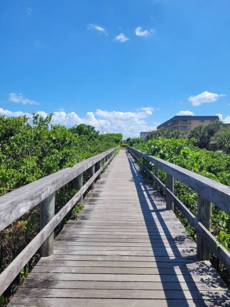 istock Journey to the End of the Boardwalk 1690956996