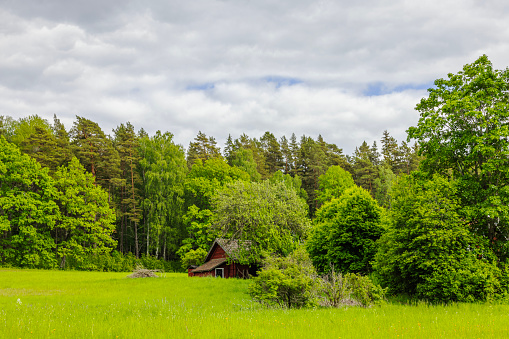 Beautiful view of old wooden house between green forest trees.