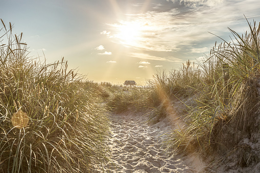 Sand Dunes with grass on the beach at Sankt Peter-Ording