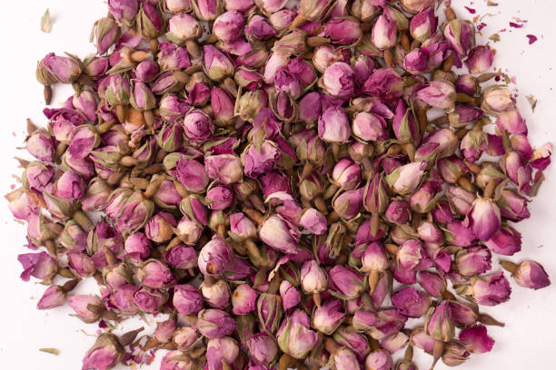 istock Dry tea roses isolated on white background. 1690983980