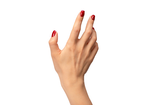 Woman hands with wine red color nails isolated on a white background. Red nail polish. Square nail form.