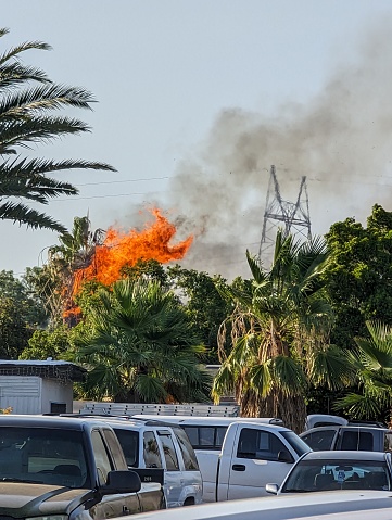 Palm tree on fire during a mobile home fire in Mesa Arizona.