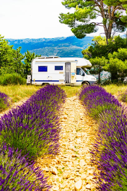 istock Caravan camping at lavender field, France 1690989688