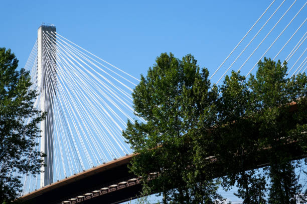 istock port mann bridge canada over the Fraser River in BC bottom side view closeup zoom in camera Port Mann Bridge Taken in Port Coquitlam, Greater Vancouver, British Columbia, Canada 2023 1690991850