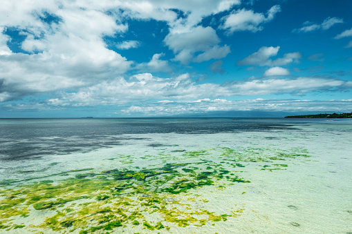 lagoon with white sand on the island of Siquijor, Philippines