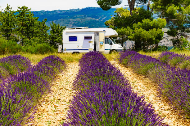 istock Caravan camping at lavender field, France 1690992697