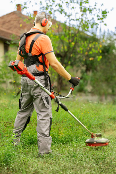 istock Man gardener mows the grass with a trimmer in nature. 1690992821