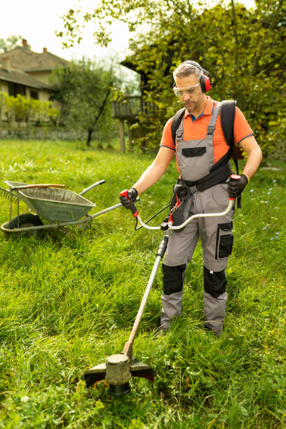 istock Landscape maintenance concept. Man cutting grass in yard by using electric string grass trimmer. 1690992853