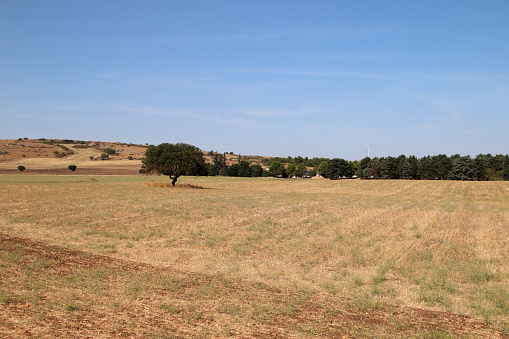 Alta Murgia National Park, Puglia, Italy - 17 september 2023: Cultivated fields on the Murgia