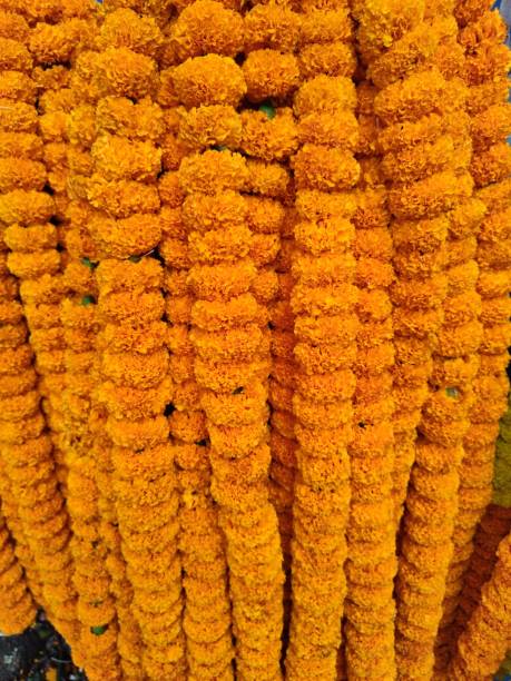 istock Garland of marigold 1690997506