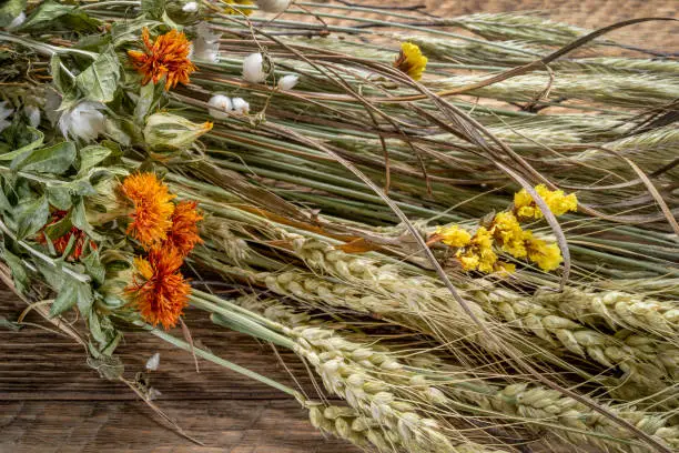 floral autumn bouquet with dried flowers and grain stalks on rustic wood