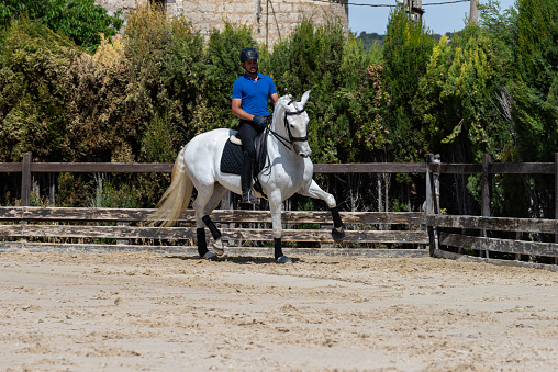 Outdoors in a natural setting a young jockey rides a beautiful white thoroughbred horse. Riding lesson with a thoroughbred horse. Horse trainer