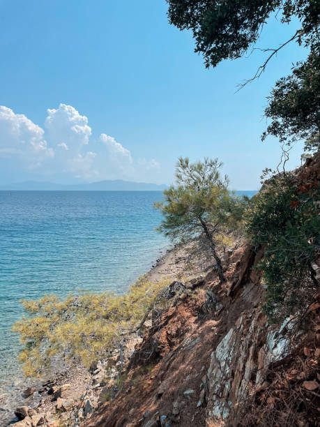 istock Cliff by the sea 1691018889
