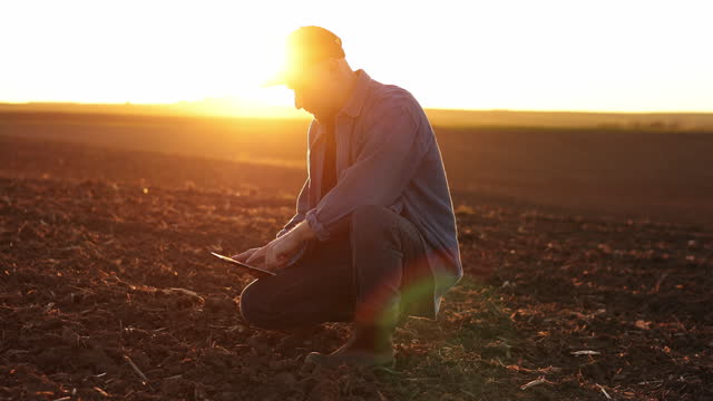 Agronomist touches soil examine and testing cultivated land before sowing on agricultural field and typing results in digital tablet on sunset. Smart farming technology and organic agriculture.