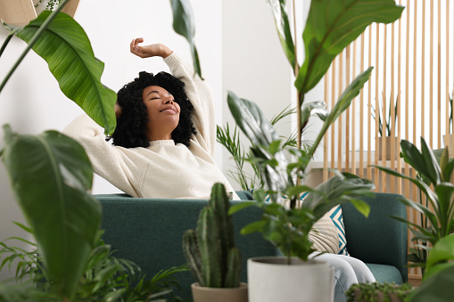 Woman relaxing on sofa surrounded by beautiful houseplants at home