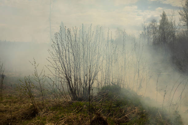 istock Black smoke from fire. Burning of garbage. Destruction of nature. Environmental disaster. 1691037708