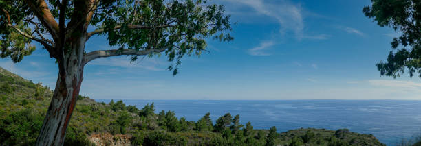 Vista panorâmica em Campo nell'Elba em Elba - foto de acervo