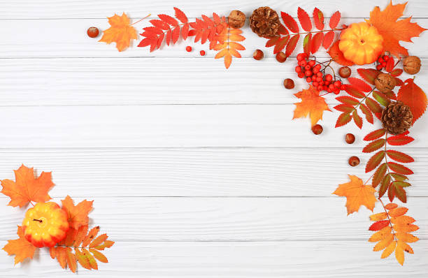 istock Frame with maple leaves, pine cones, nuts, pumpkins and rowan berries, autumn abstract composition, Thanksgiving concepts, seasonal background, banner or screensaver, greeting card or invitation 1691046018