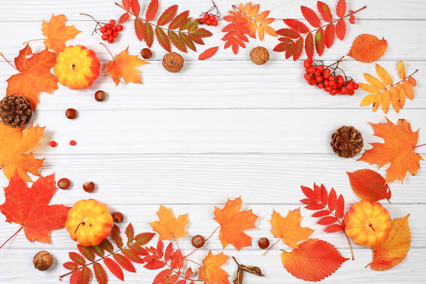 istock Frame with maple leaves, pine cones, nuts, pumpkins and rowan berries, autumn abstract composition, Thanksgiving concepts, seasonal background, banner or screensaver, greeting card or invitation 1691046022