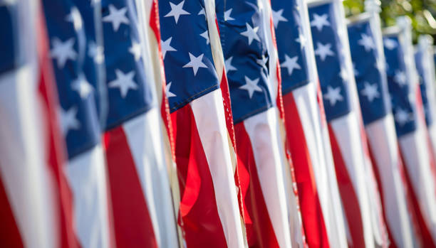 istock Rows of American Flags: Patriotism in Formation 1691066808